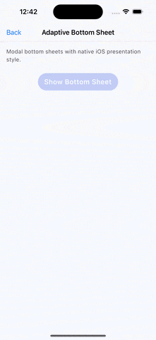 Bottom Sheet iOS